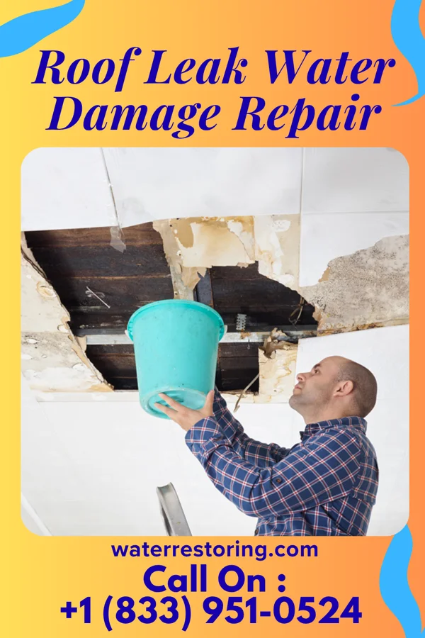 Roof Leak Water Damage Repair in Inwood, IA